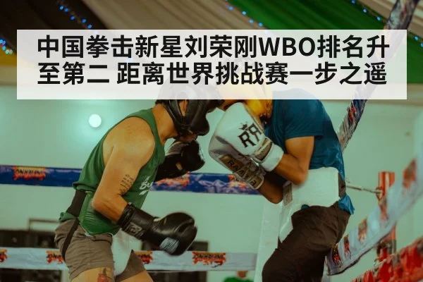 中国拳击新星刘荣刚WBO排名升至第二 距离世界挑战赛一步之遥